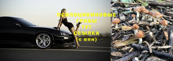 гидра Алексин