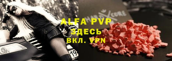 гидра Алексин