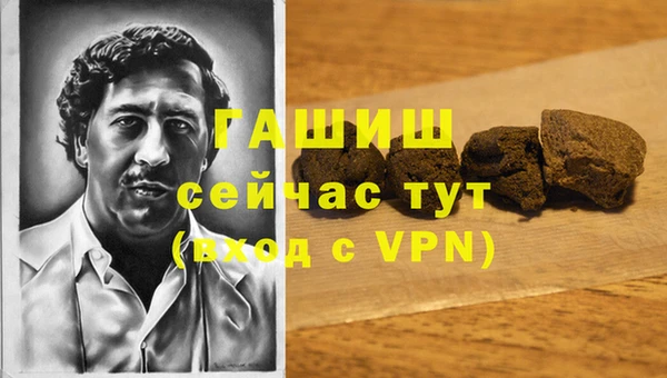 гидра Алексин