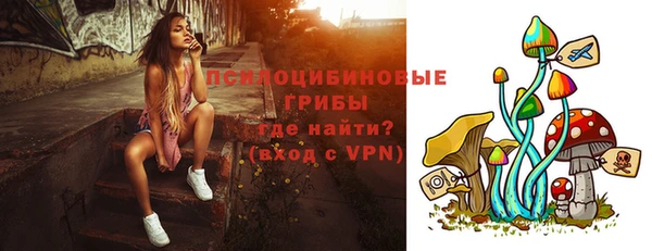 гидра Алексин