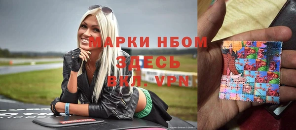 гидра Алексин
