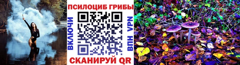 Псилоцибиновые грибы GOLDEN TEACHER  Камбарка 